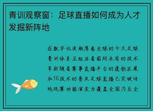 青训观察窗：足球直播如何成为人才发掘新阵地