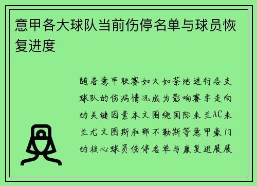 意甲各大球队当前伤停名单与球员恢复进度